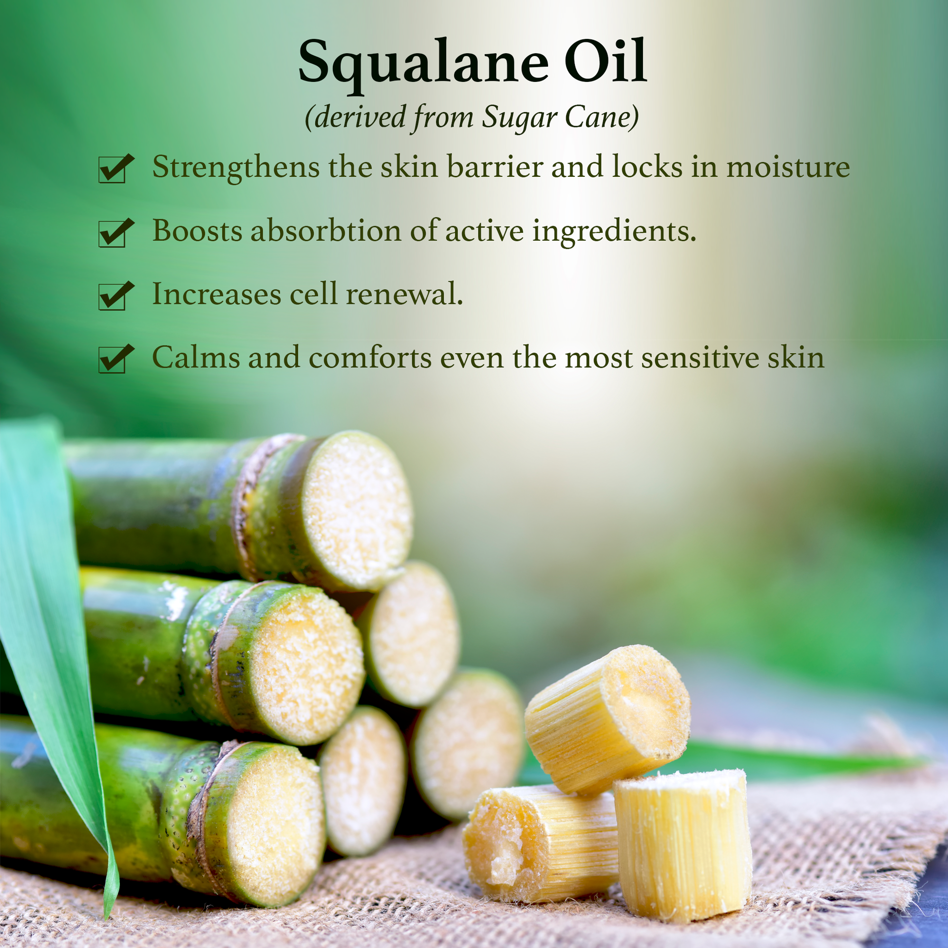 Nourishing Hydrate & Glow Oil